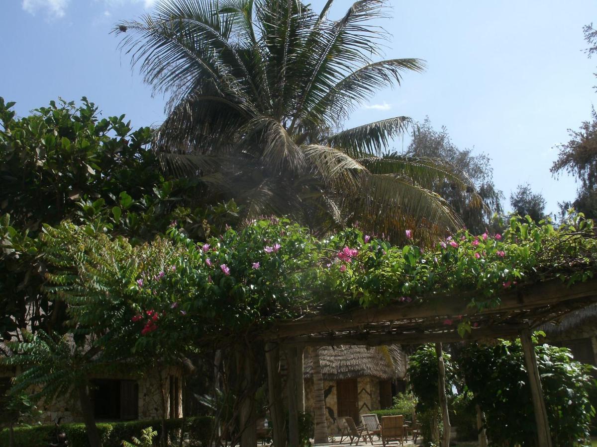 LompoulAfrica Roots住宿加早餐旅馆 外观 照片